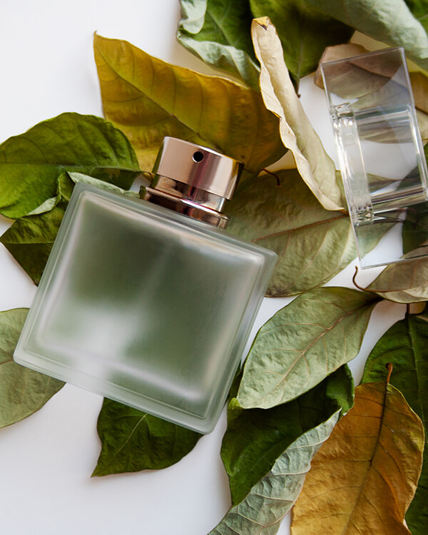 Chanel Vanilla Fragrances for Men